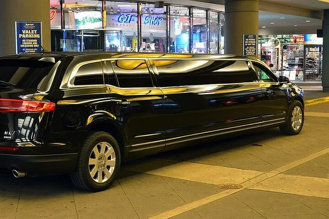 Orlando Private Transfer to Port Canaveral - Image 5