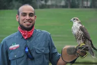 Colorado Springs Falconry Class and Demonstration 90 min thumbnail 2