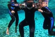 Crystal River Manatee Swim Tour thumbnail 2