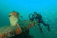 Panama City Wreck and Bridge Span Dive thumbnail 6