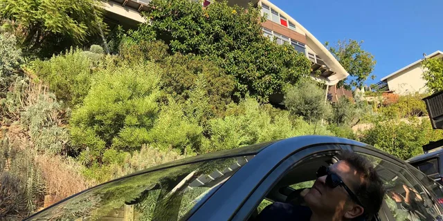 Los Angeles Film Locations Tour - Image 2
