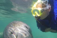 Crystal River Snorkeling Tour with Manatees thumbnail 2