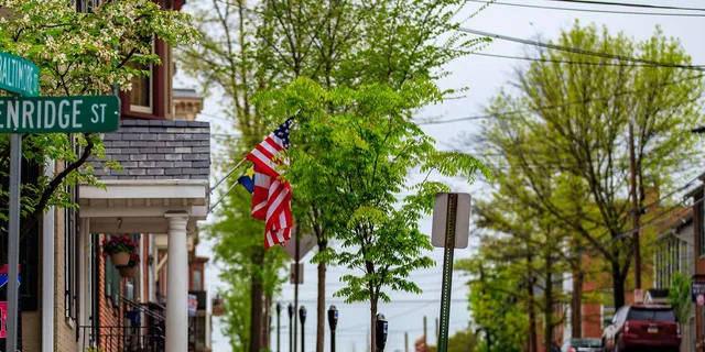 Gettysburg Historic Downtown Walking Tour 2 hr - Image 2