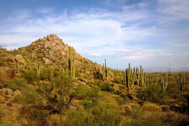 Scottsdale Tom's Thumb Hiking Adventure - Image 4