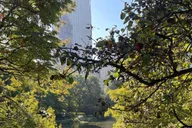 New York City Central Park Pedicab Tour thumbnail 4