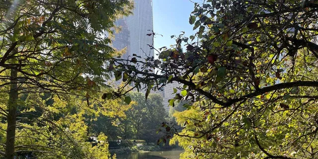 New York City Central Park Pedicab Tour - Image 4