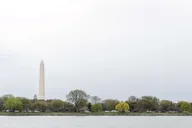 Washington Water Taxi Tour thumbnail 6