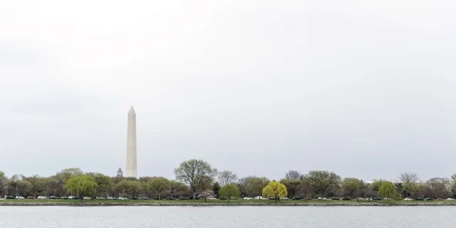Washington Water Taxi Tour - Image 6