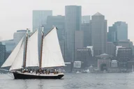 Boston Harbor Pastry & Prosecco Sail thumbnail 1
