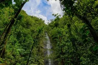 Honolulu Hiking Adventure Tour thumbnail 4