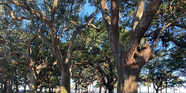 Charleston Historical Walking Tour with Storytelling - Image 3