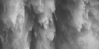 Seattle Waterfall and Forest Tour 4 hr