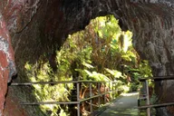 Hilo Volcanoes National Park Tour thumbnail 4