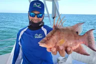 Naples Deep Sea Fishing Tour 4 hr thumbnail 4