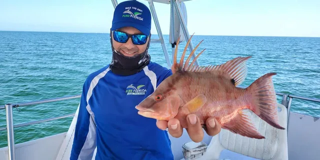 Naples Deep Sea Fishing Tour 4 hr - Image 4
