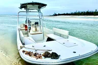 Marco Island Tubing, Dolphin Watching and Shelling Tour thumbnail 4