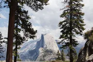 San Francisco Yosemite National Park Day Trip thumbnail 6