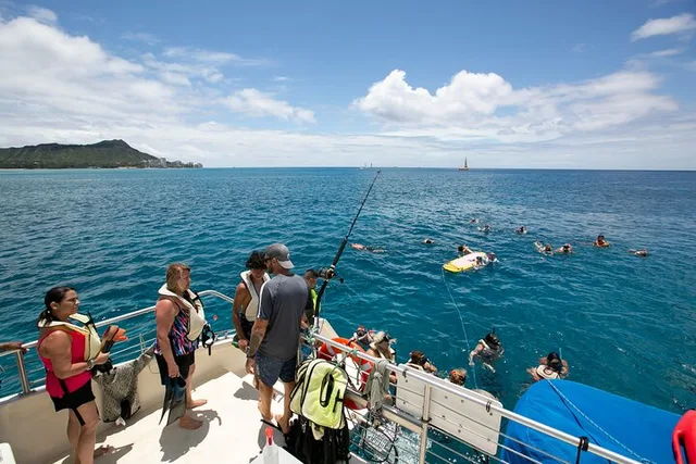 Waikiki Turtle Snorkel with Optional Lunch 2.5 hr - Image 6