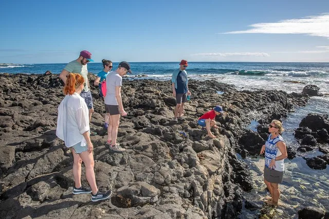 Oahu Private Island Tour - Image 5