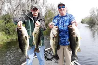 Harris Chain of Lakes Fishing Charter thumbnail 6