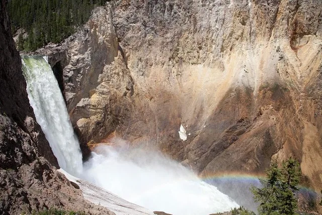 Yellowstone Private National Park Safari - Image 5