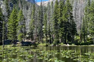 Rocky Mountain National Park Birding Jeep Tour thumbnail 2