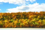 New York City Fall Foliage Cruise thumbnail 6