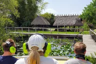 Miami Everglades Tour with Boat Trips and Lunch thumbnail 2
