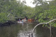 Fort Lauderdale Paddle Tour to Bonnet House thumbnail 1