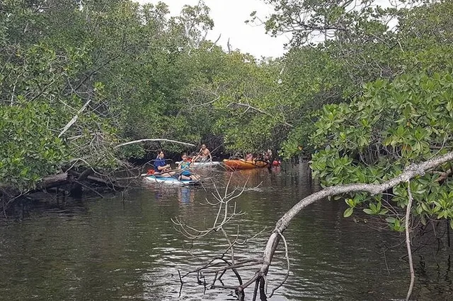 Fort Lauderdale Paddle Tour to Bonnet House - Image 1