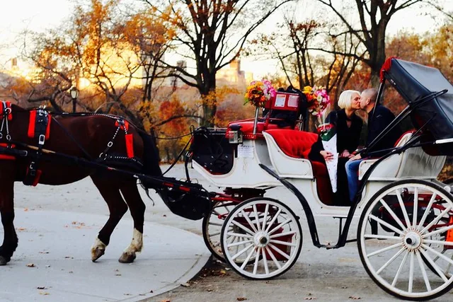 New York Central Park Carriage Ride 40 min - Image 3