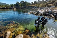 Point Lobos Self-Guided App Tour thumbnail 6