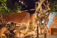 Salt Lake City Family Attractions Pass thumbnail 4