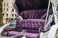New York Holiday Lights Horse Carriage Ride thumbnail 3