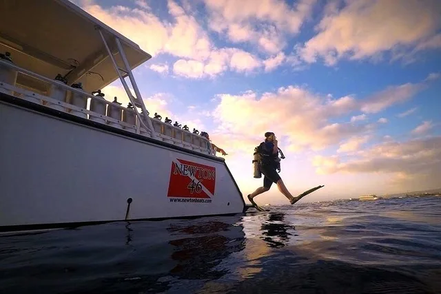Oahu Night Dive for Certified Divers - Image 3