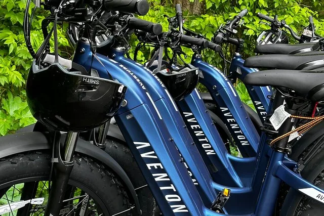 Sitka E-Bike Rentals - Image 2
