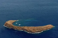 Maui Helicopter Tour with Exclusive Landing thumbnail 3