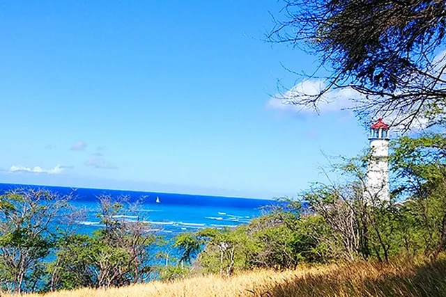 Oahu Circle Island Tour with Snorkeling - Image 3