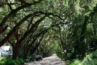 St. Augustine Historic Electric Cart Tour thumbnail 3