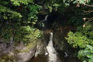 Maui Road to Hana Reverse Tour thumbnail 3