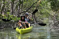 Naples Sunset Kayak Tour thumbnail 6