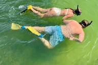 Egmont Key Island Tour with Dolphins & Snorkeling thumbnail 1