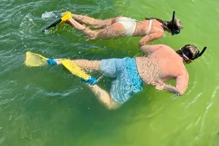 Egmont Key Island Tour with Dolphins & Snorkeling