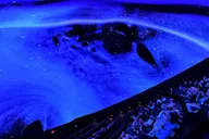 Tampa Ocean Sounds Immersive Experience 1 hr thumbnail 5
