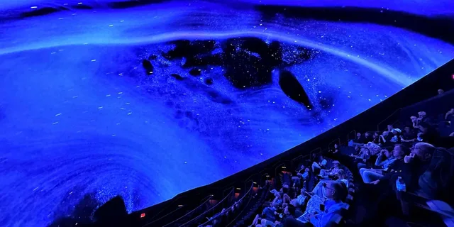 Tampa Ocean Sounds Immersive Experience 1 hr - Image 5