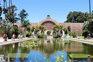 San Diego Balboa Park Botanical Exploration Game 90 min thumbnail 1