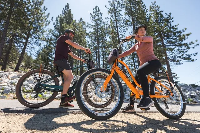 Lake Tahoe Self-Guided E-Bike Tour - Half-Day - Image 5