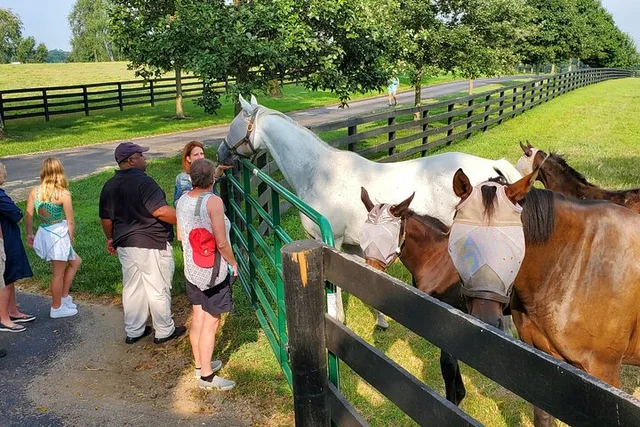 Lexington Farm Tour with Clay Pigeon Shooting - Image 5