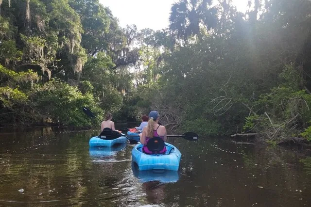 New Smyrna Dolphin and Manatee Kayak Adventure - Image 5