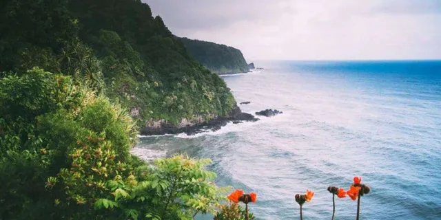 Maui Road to Hana Tour with GoPro - Image 2